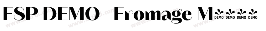 FSP DEMO   Fromage M字体转换